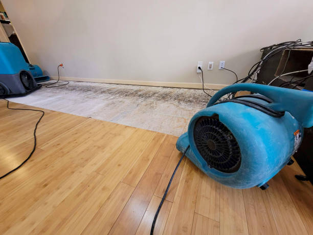 Professional Water Damage Repair technician working in Palacios, TX